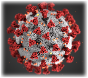CDC covid-19 virus image